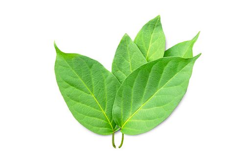 Blutforde enthält Gymnema sylvestre Extrait