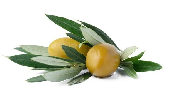 Blutforde enthält Oliveblattextrakt
